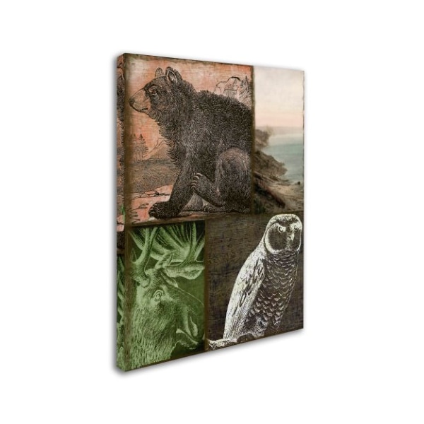 Color Bakery 'Cabela III' Canvas Art,14x19